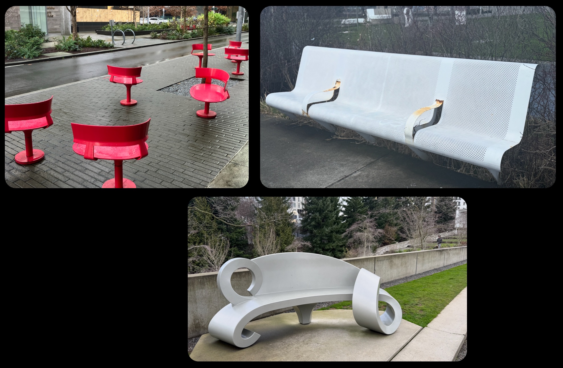 Images of real outdoor park benches in Seattle